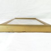 Entomology old taxidermy butterfly frame