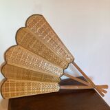 Giant fan