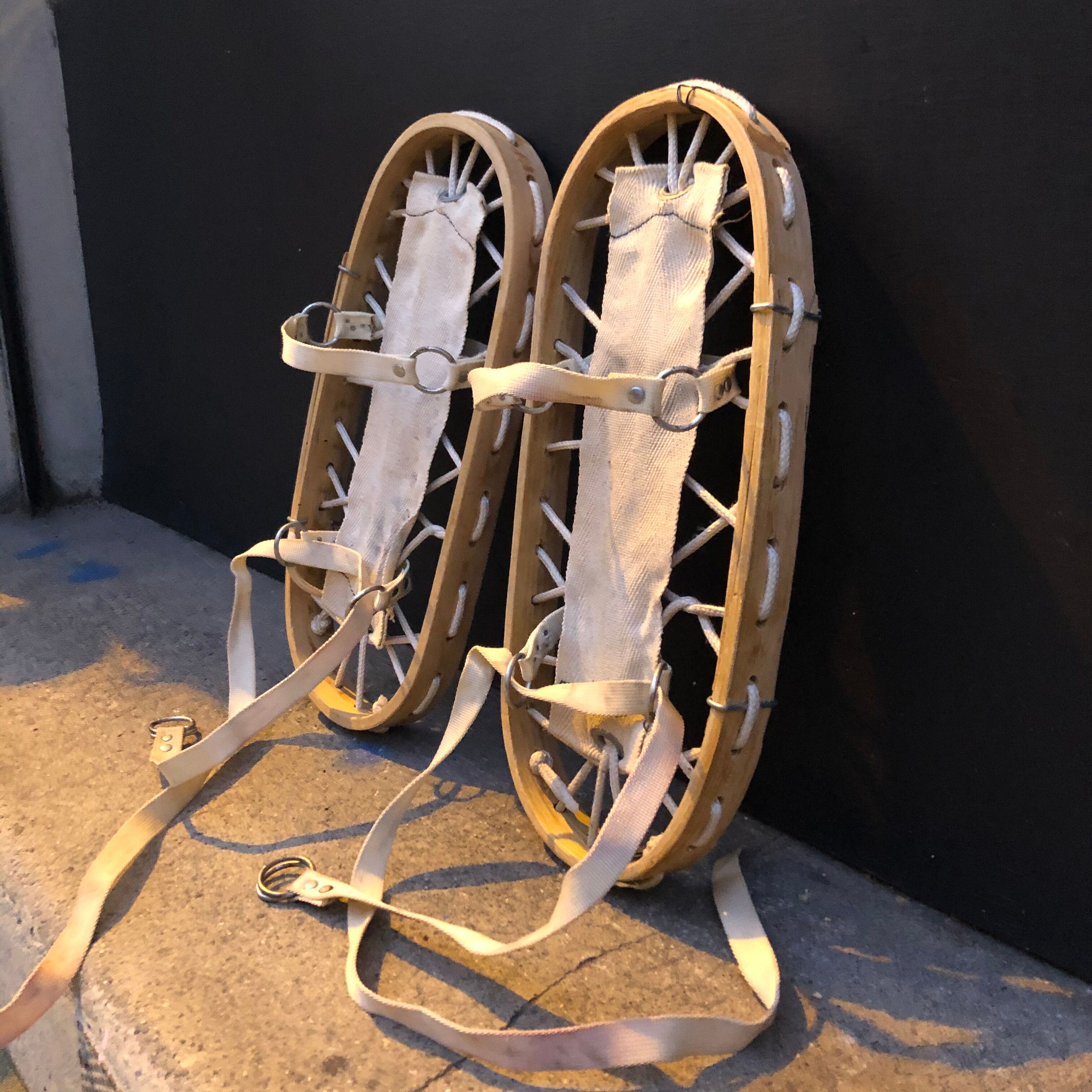 Snowshoe