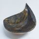 Large Salins Meribel fruit bowl