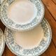 Set of 6 antique Longwy "Talma" flat plates in ironstone - 20th century