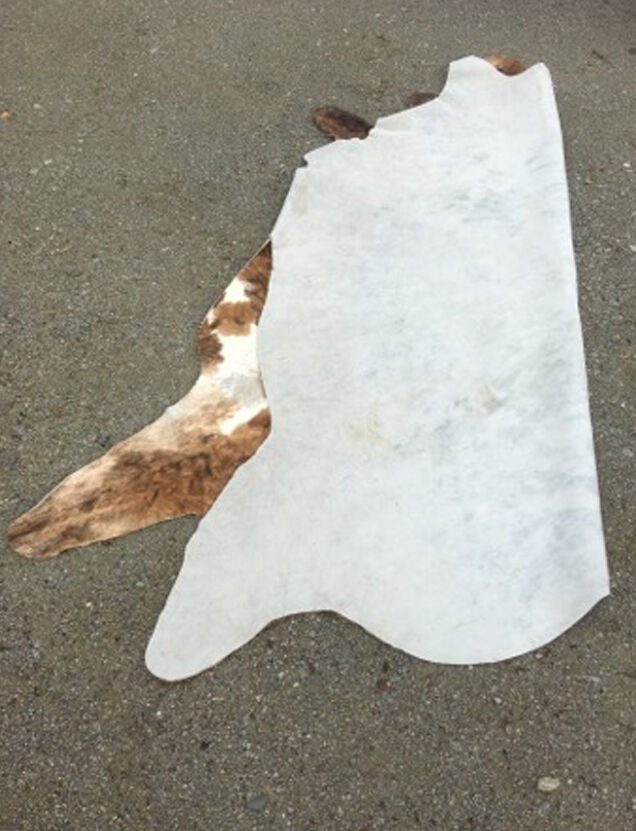 Big Cow Skin Carpet 2mx2m