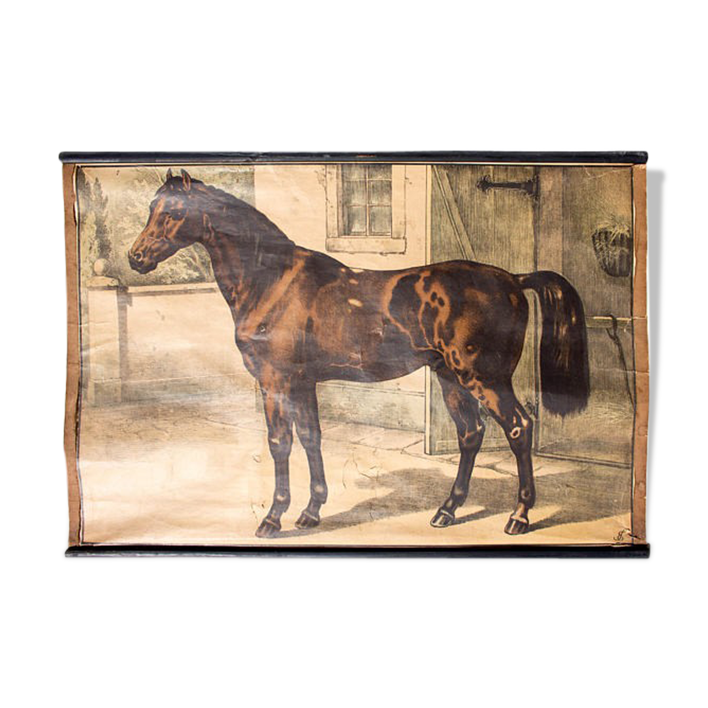 Poster "horse" lithograph Karl Jansky Böhmen 1897