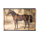 Poster "horse" lithograph Karl Jansky Böhmen 1897