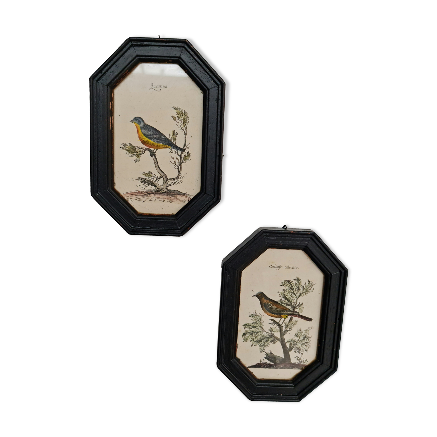 Old black wooden frames bird motifs