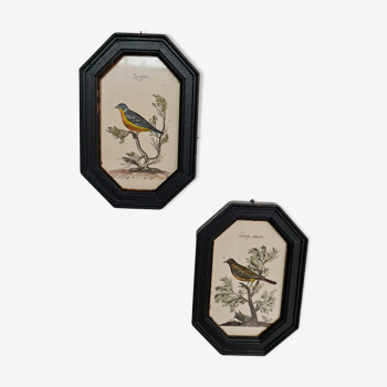 Old black wooden frames bird motifs