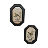 Old black wooden frames bird motifs