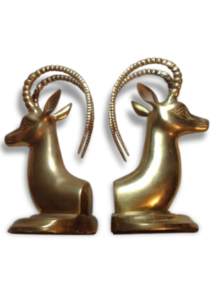 An amazing pair of deer