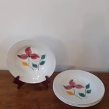 4 Digoin Sarreguemine plates