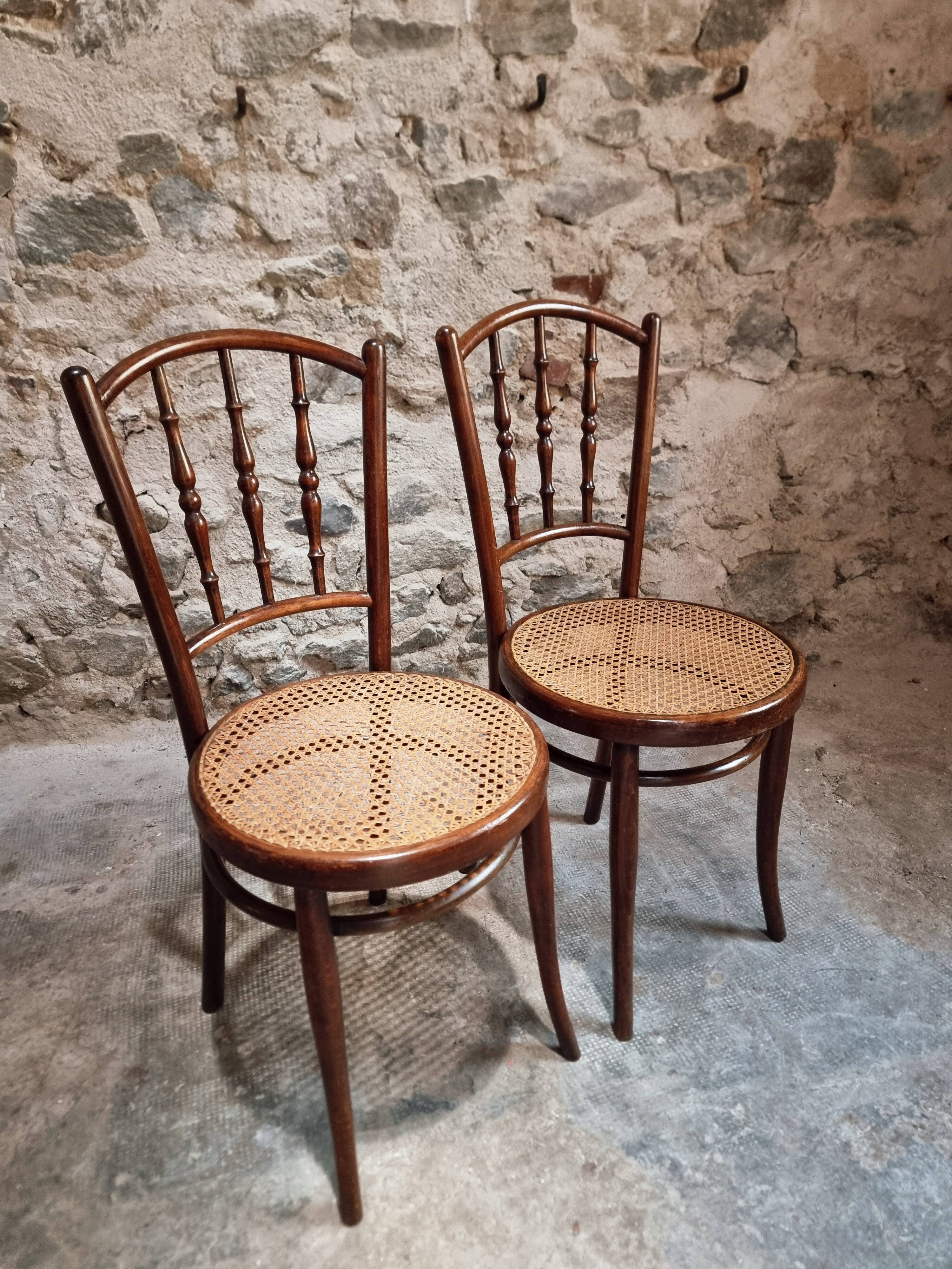 2 chaises bistrot viennoises Kohn antiques en bois courbé et cannage, Autriche vers 1900–1930
