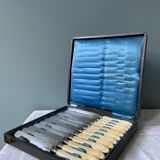 Box of 12 table knives Napoleon III XIXth