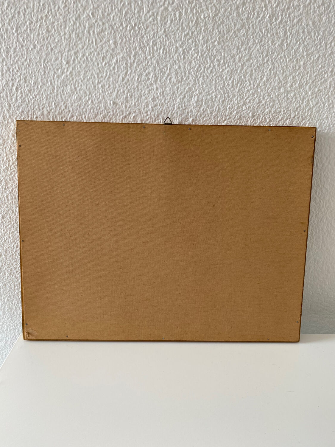 Naturalized butterflies painting