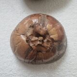 Coconut ice cube bucket by mrs. morin nocodaf abidjan