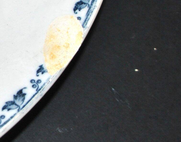 Sarreguemines round plate CARMEN blue butterfly dragonfly earthenware ironstone