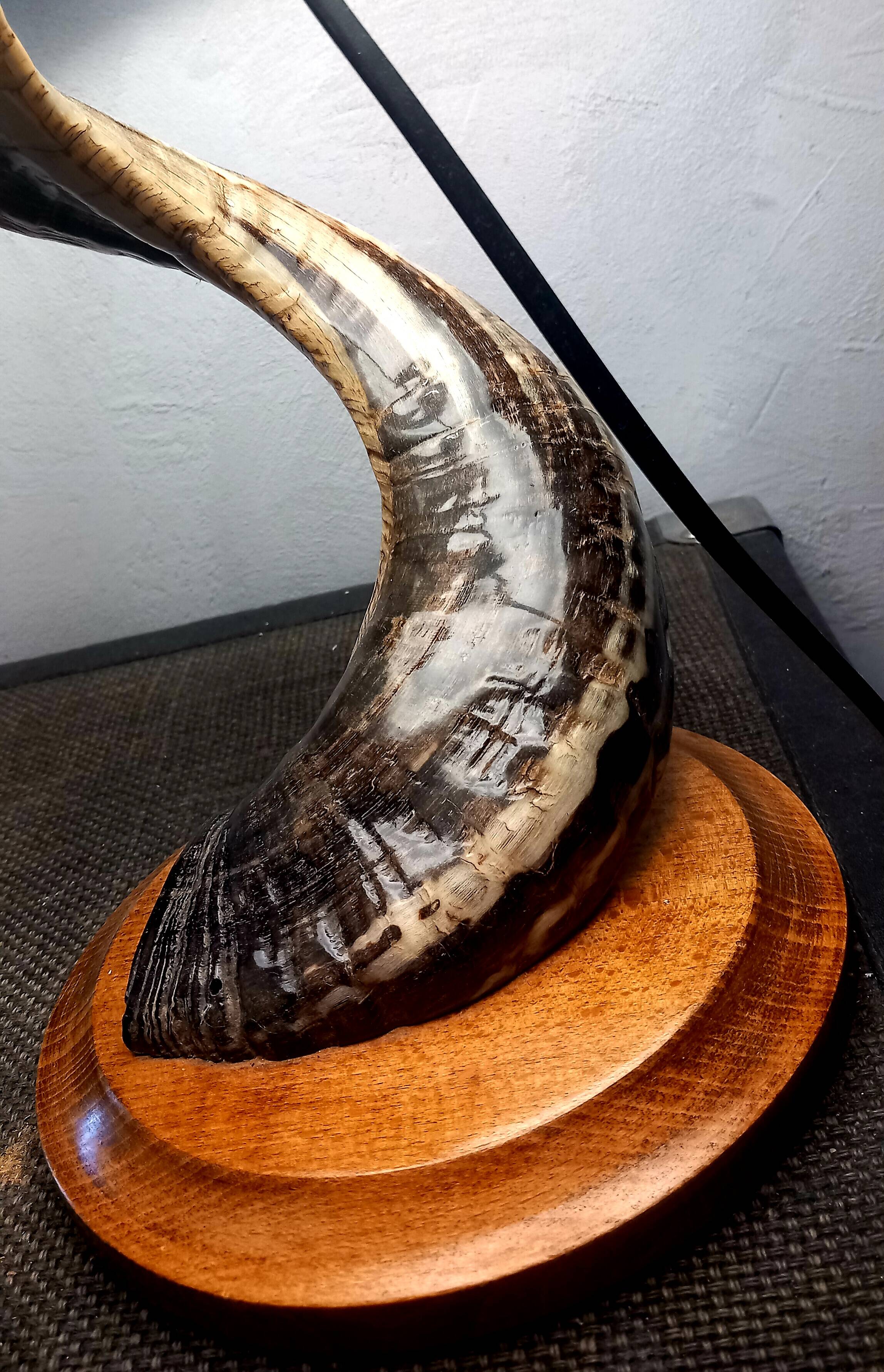 Brutalist Ram's Horn Living Room Lamp 1970