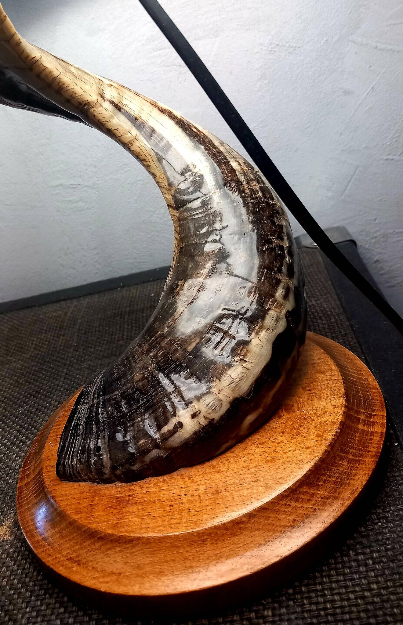 Lampe de salon brutaliste corne de Belier 1970