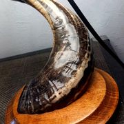 Lampe de salon brutaliste corne de Belier 1970