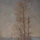 Léon Benoît, Le Marais au Printemps (1895)
