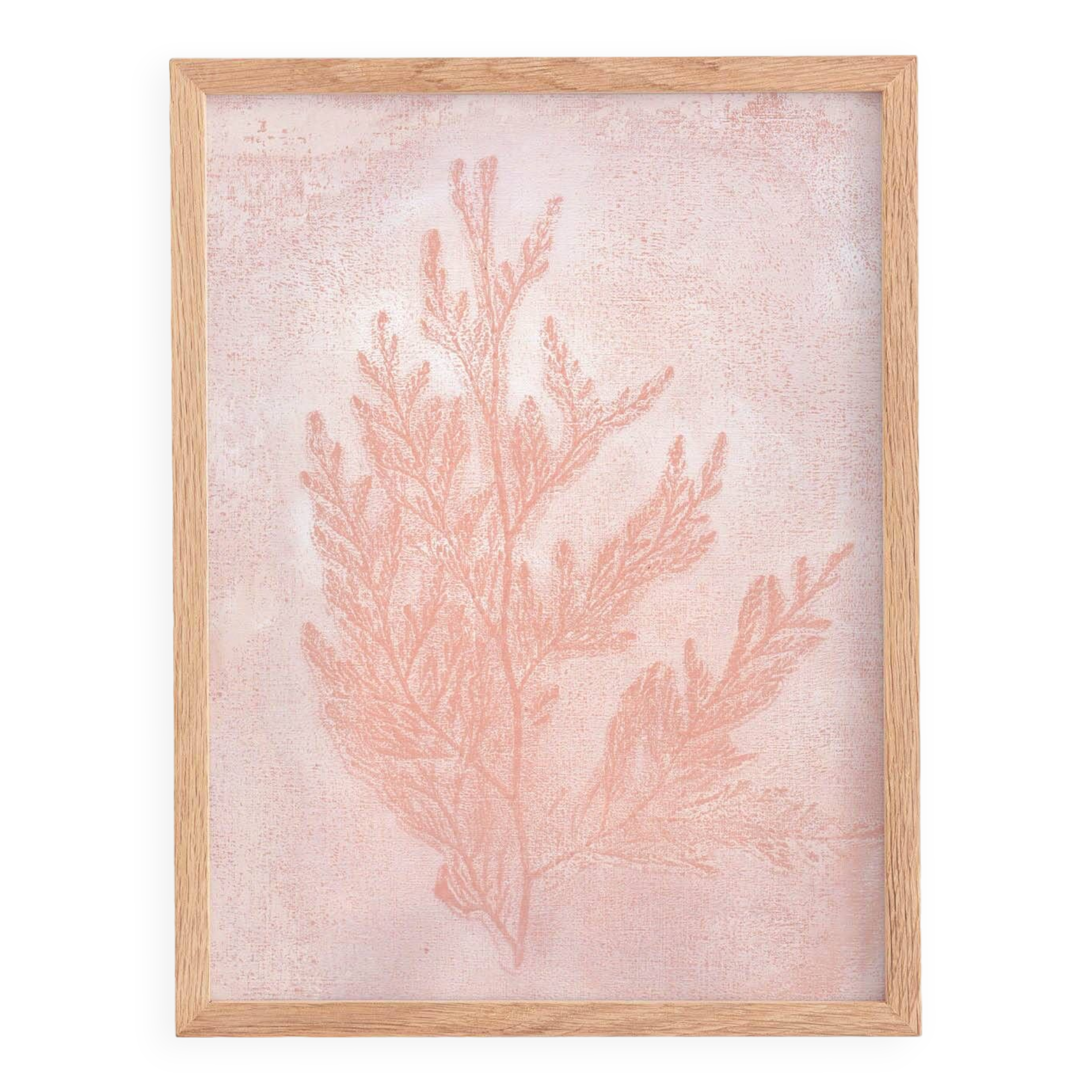 Peinture sur papier - 30x40cm - herbier h486 - signée Eawy