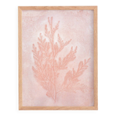 Peinture sur papier - 30x40cm - herbier h486 - signée Eawy