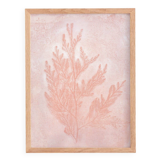 Painting on paper - 30x40cm - herbarium h486 - signed Eawy