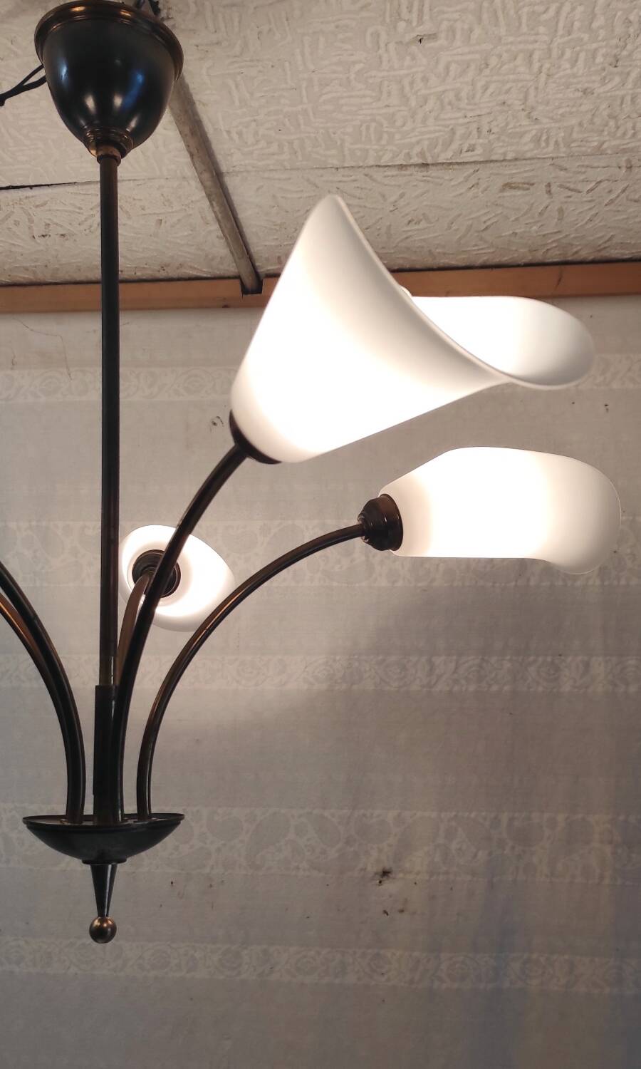 5-light chandelier in metal and opaline - mid-20th century