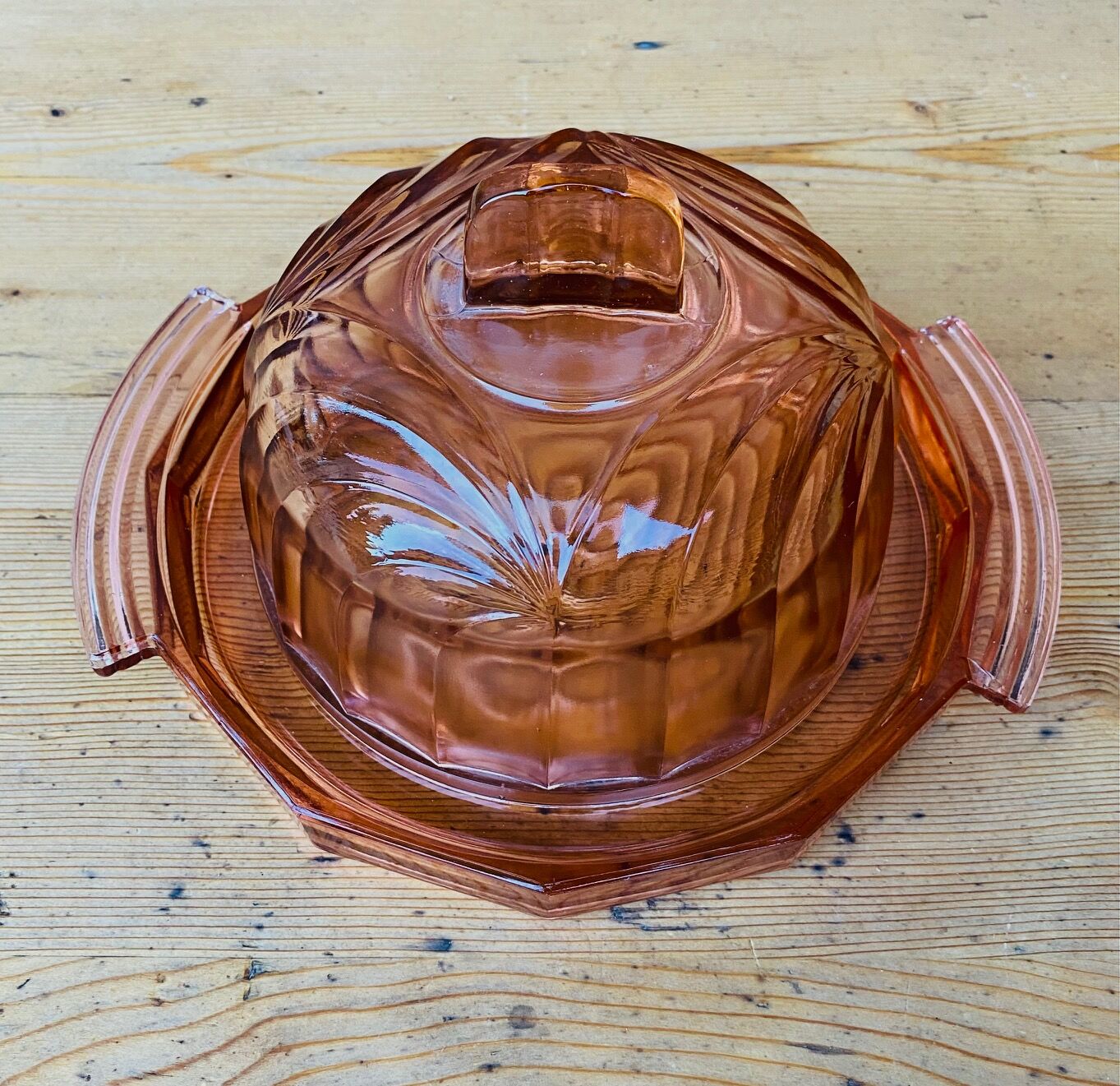 Rosaline art deco glass bell jar and its tray