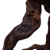 French, Set Of 2 Twisted Grape-vine Roots Bar Stools 1960s