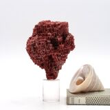 Red coral on resin base, 1970s