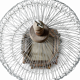 Large vintage Tunisian handmade birdcage