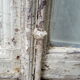 18th double-checked oak window with its frame