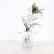 Kosta Boda Vase by Bertil Vallien