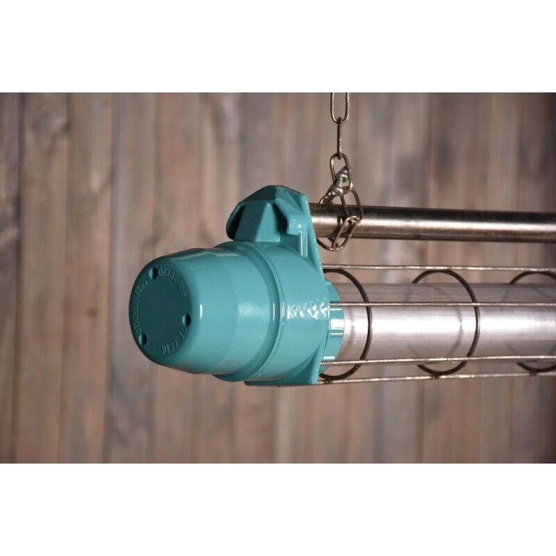 Industrial refurbished cage blue lamp