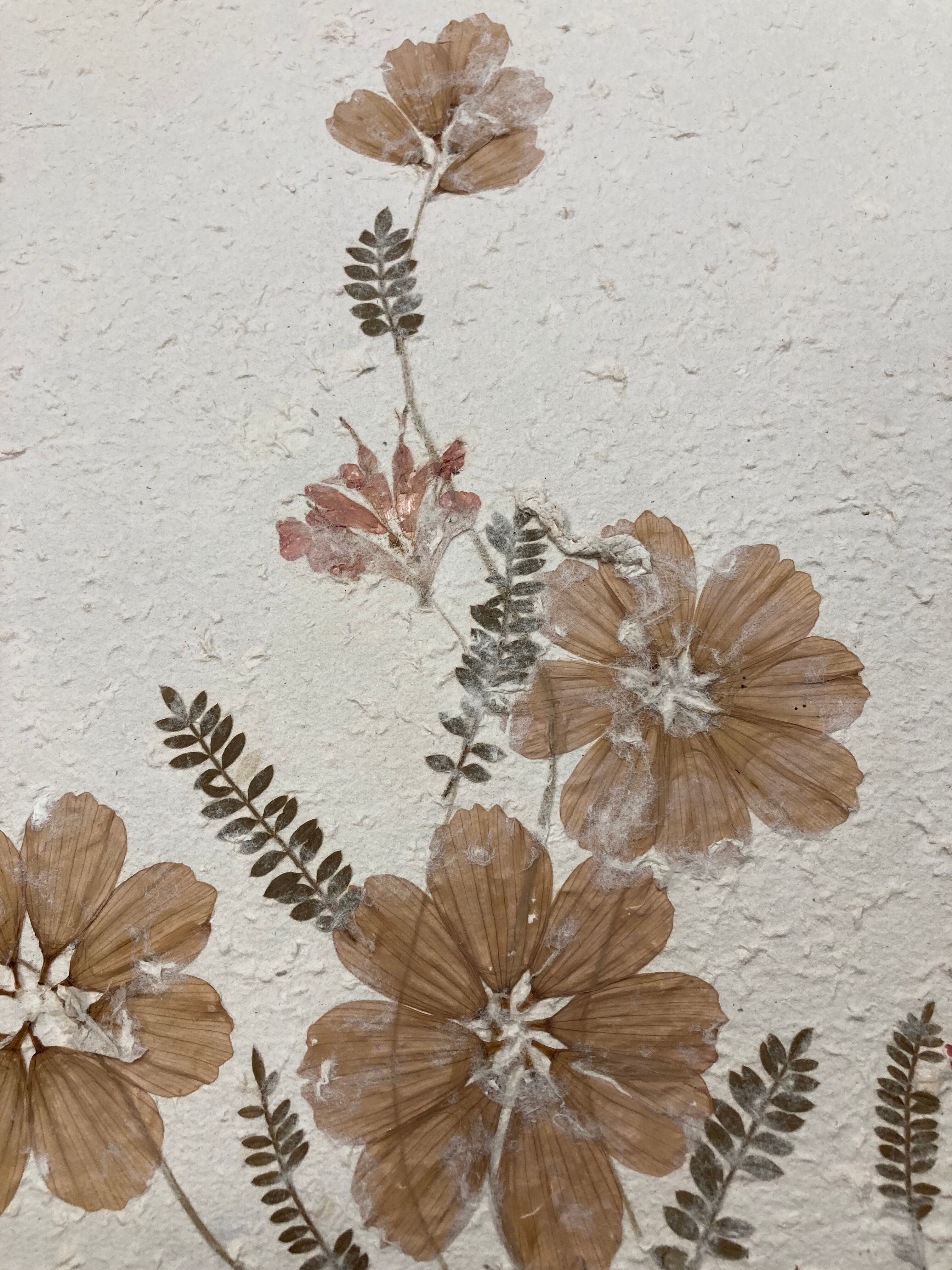 Planche fleurs séchées