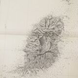 Ancient marine map of the island of Granada (Antilles)