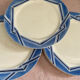 Flat plates (6 ) HBCM model "ANNIE"