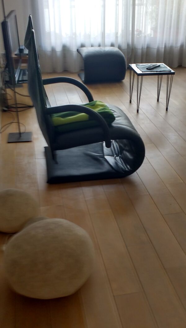 fauteuil Zen En cuir Haute Qualité, Design Claude Brisson, Ligne Roset