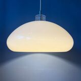 Space-age mushroom suspension