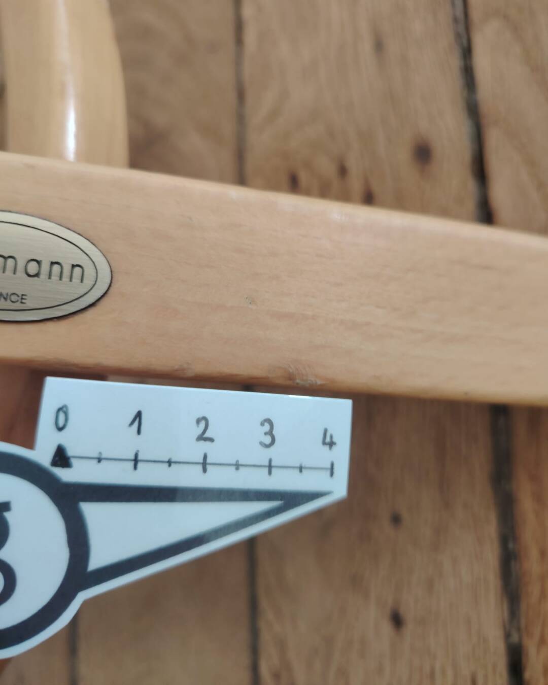 Porte-manteau perroquet Baumann, années 50-70