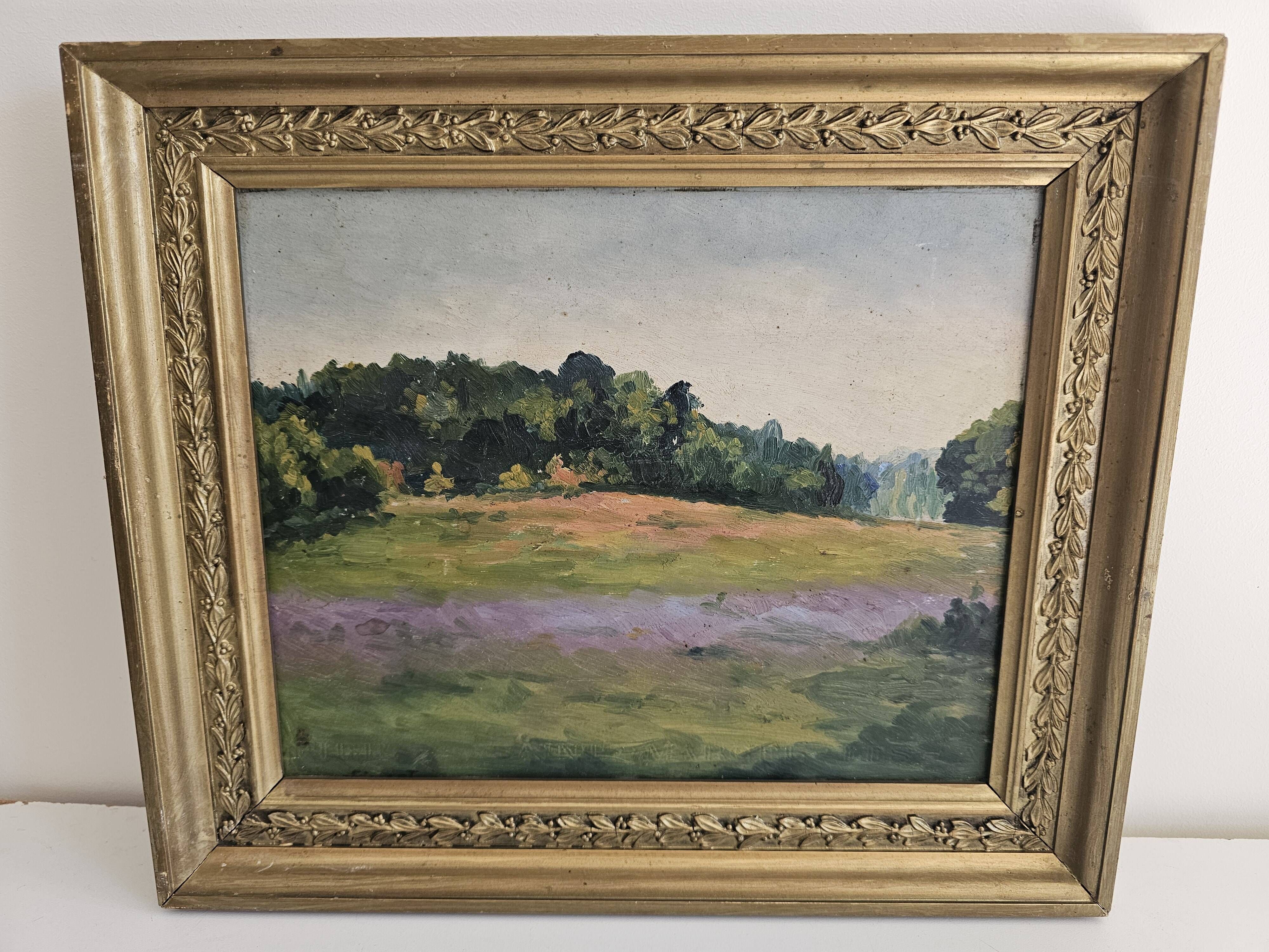 Oil Painting on Cardboard - Landscape of Flowering Hills - Not Signed