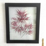 Frame dried flowers