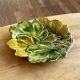Old vine leaf slip dish
