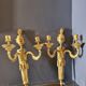 Pair of gilded bronze wall lamps Louis XVI style nineteenth era