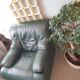 Fauteuil cuir vert anglais 1980