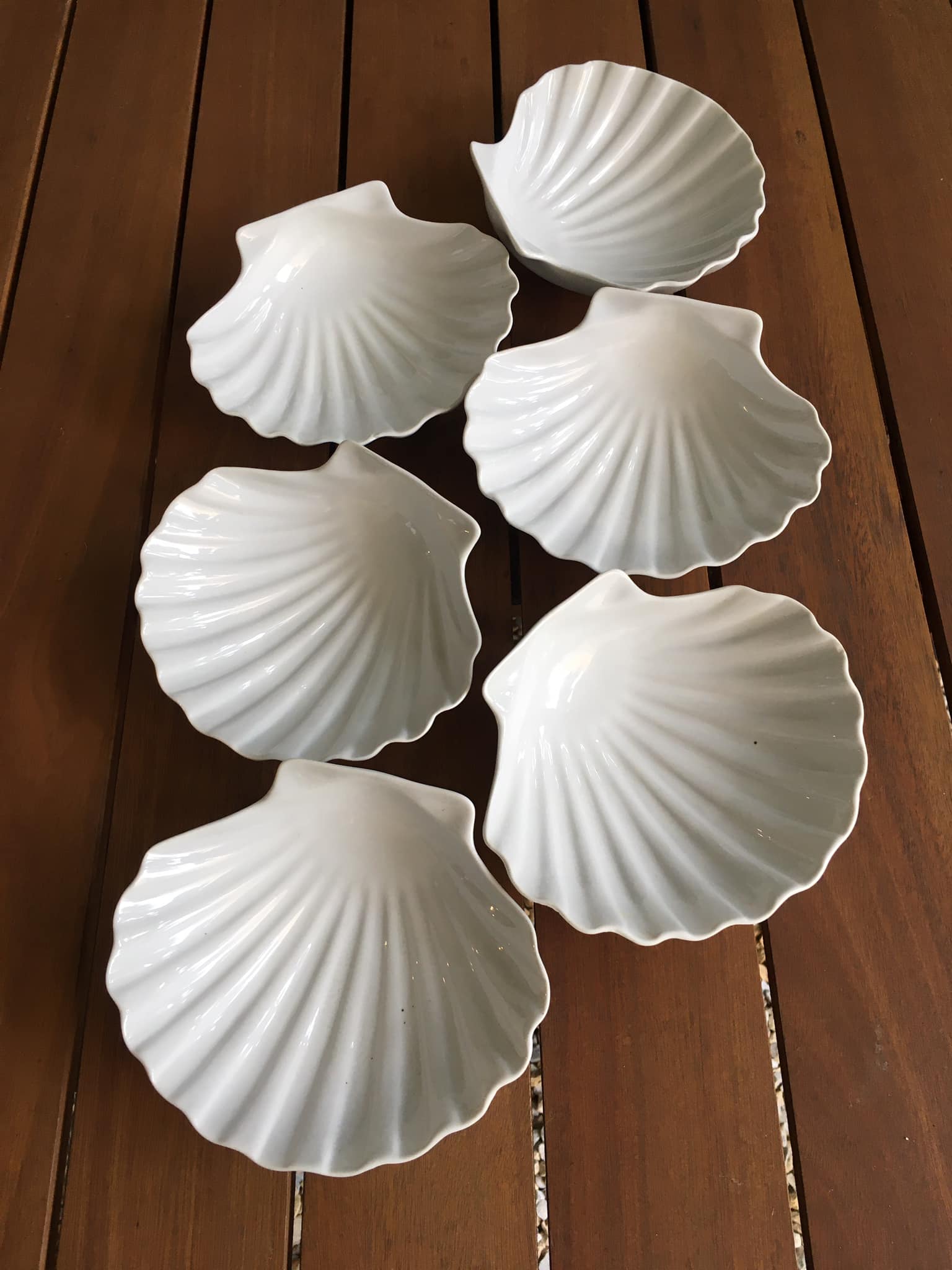 6 white porcelain scallops
