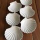 6 white porcelain scallops