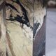 Octagonal coffee table in Cipollino Italian marble, 1980