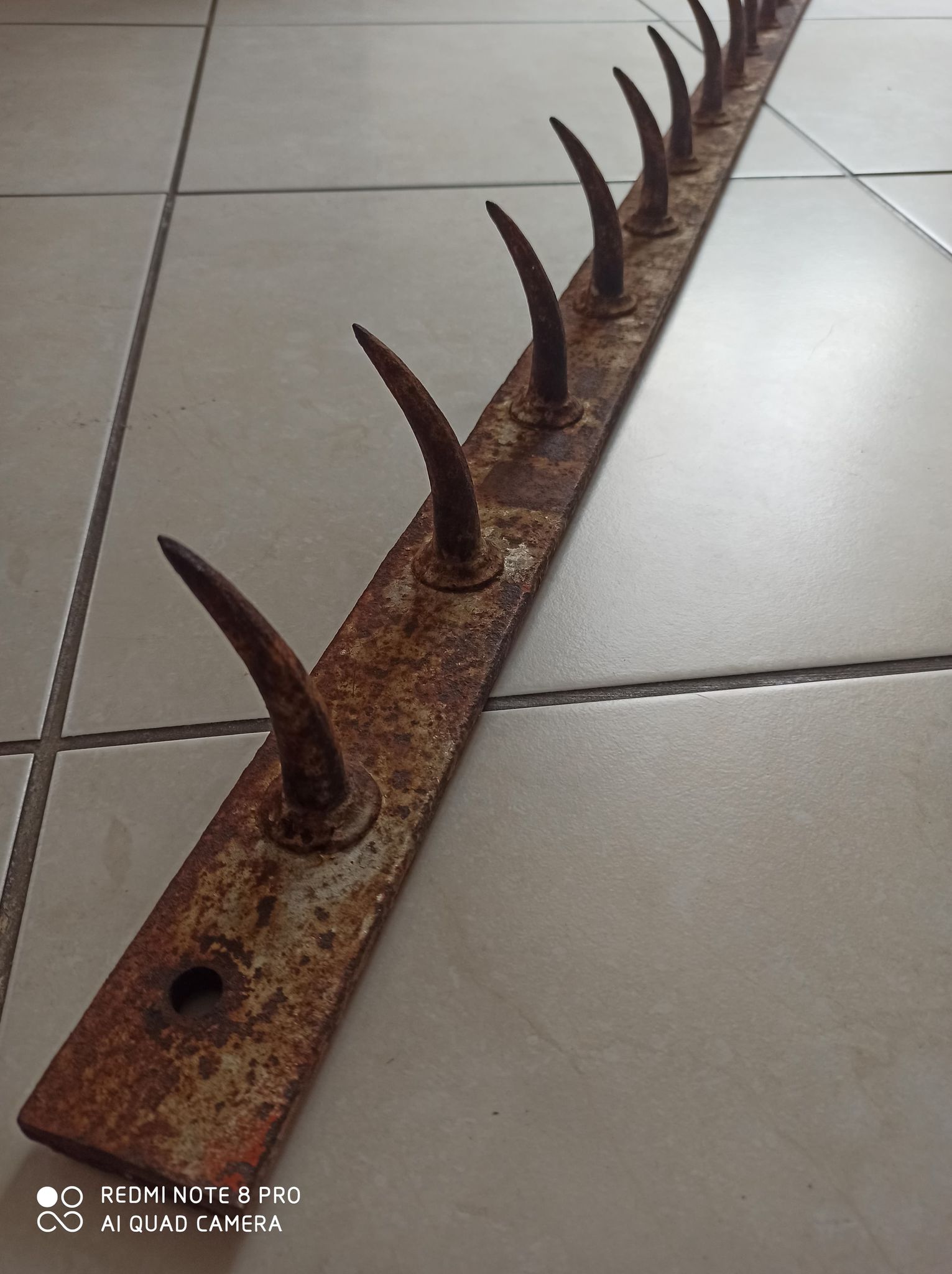 old bar teeth wolf hooks butcher deco indus