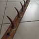 old bar teeth wolf hooks butcher deco indus