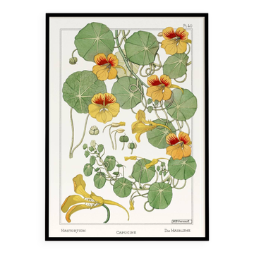 “Capucine” poster, after an Art Nouveau lithograph from 1897